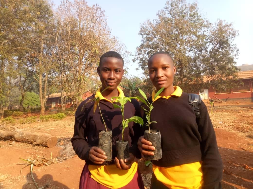 Two students holding tree seedlings in nursery bags.